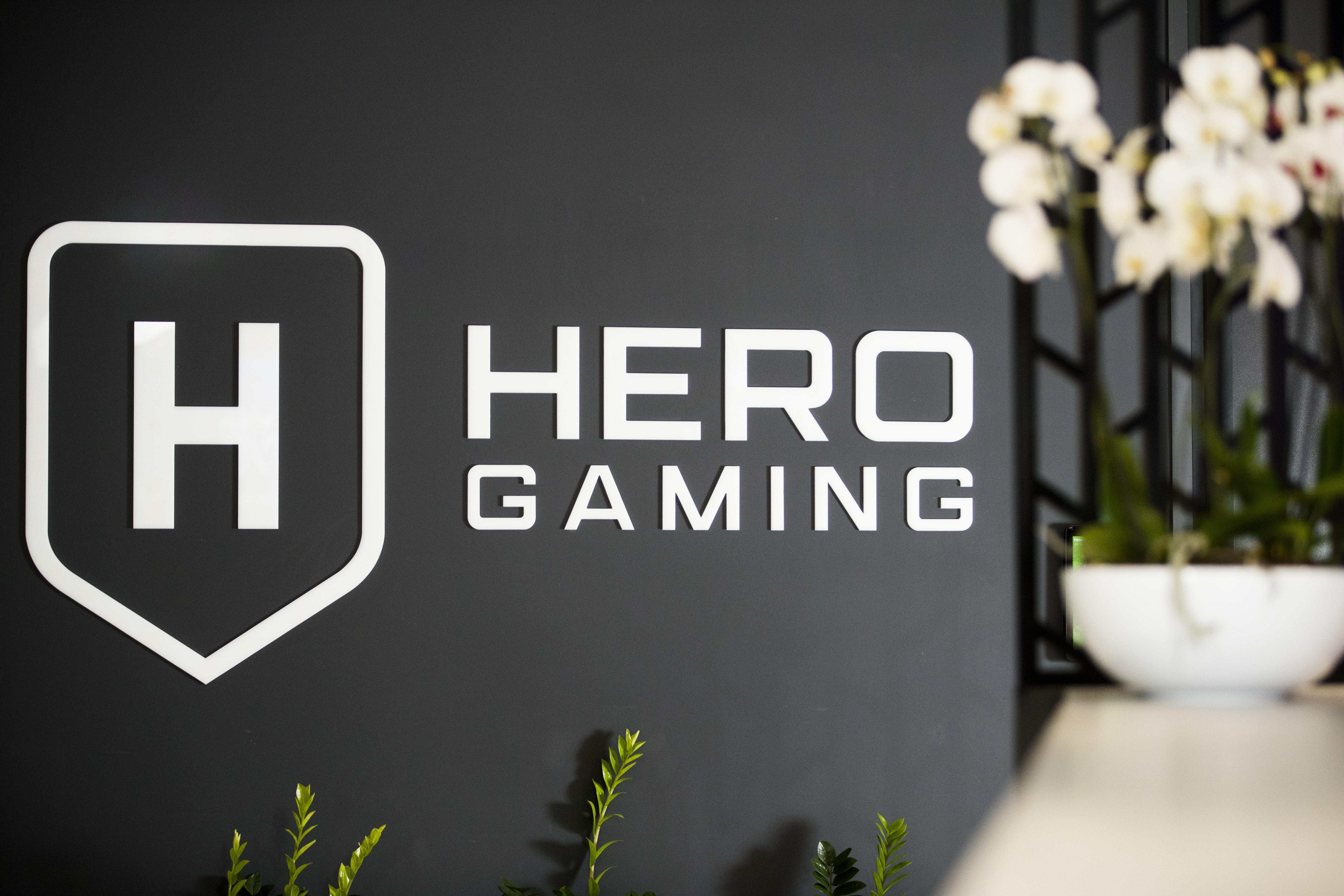Hero Gaming sells off its Swedish brands