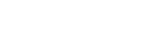 mint logo